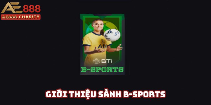 Giới thiệu về sảnh thể thao B-Sports nổi tiếng