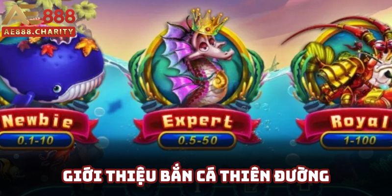 Sơ lược thông tin về trò chơi bắn cá thiên đường hấp dẫn Sơ lược thông tin về trò chơi bắn cá thiên đường hấp dẫn