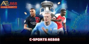 C-Sports - Sảnh cá cược hiện đại và nổi bật nhất 2025