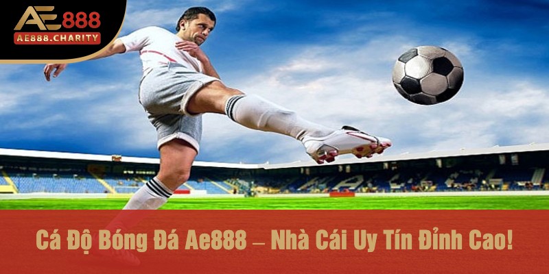 Cá Độ Bóng Đá Ae888 – Nhà Cái Uy Tín Đỉnh Cao!