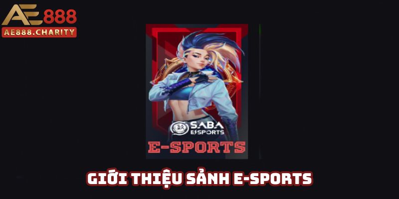 Giới thiệu cơ bản về sân chơi E-Sports thú vị Giới thiệu cơ bản về sân chơi E-Sports thú vị