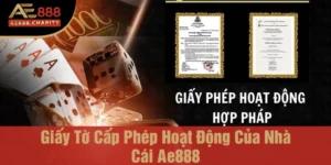 giấy tờ cấp phép hoạt động của nhà cái Ae888