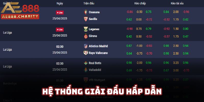 Đơn vị cập nhật những giải đấu tuyệt vời để phục vụ khách hàng Đơn vị cập nhật những giải đấu tuyệt vời để phục vụ khách hàng