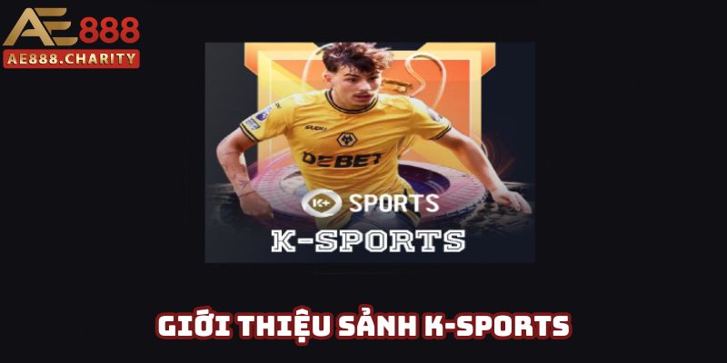 Giới thiệu cơ bản về sân chơi thể thao K-Sports Giới thiệu cơ bản về sân chơi thể thao K-Sports