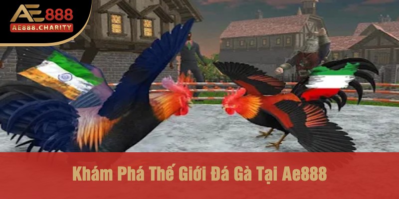 Anh Đức Thắng Lớn 890 Triệu Nhờ Đá Gà Ae888 – Bí Quyết Thành Tỷ Phú Đã Có 2 Khám Phá Thế Giới Đá Gà Tại Ae888