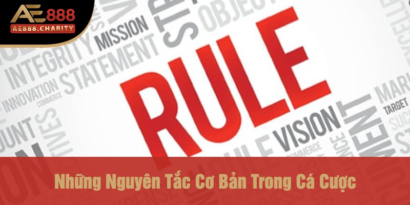 Blog Kinh Nghiệm Cá Cược Của CEO Bùi Xuân Thành - Bài Học Từ Người Đứng Đầu Thương Hiệu Ae888 2 Những Nguyên Tắc Cơ Bản Trong Cá Cược