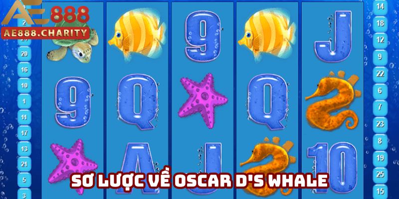 Giới thiệu Oscar D's Whale Giới thiệu Oscar D's Whale