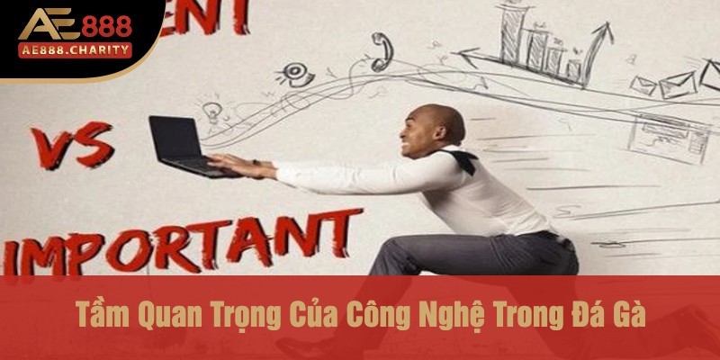 Anh Đức Thắng Lớn 890 Triệu Nhờ Đá Gà Ae888 – Bí Quyết Thành Tỷ Phú Đã Có 4 Tầm Quan Trọng Của Công Nghệ Trong Đá Gà