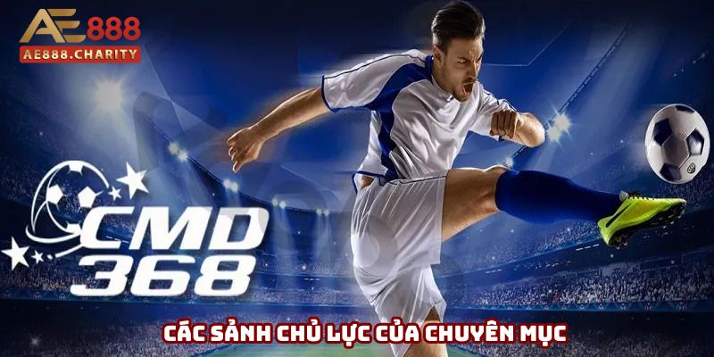 Các sảnh chủ lực tại chuyên mục thể thao Các sảnh chủ lực tại chuyên mục thể thao