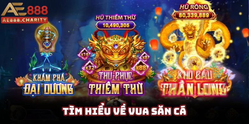 Trò chơi vua săn cá hấp dẫn toàn thể khách hàng Trò chơi vua săn cá hấp dẫn toàn thể khách hàng